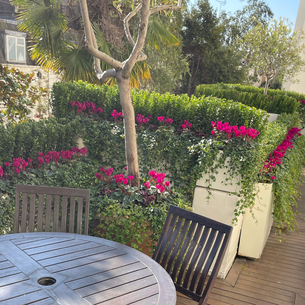 Planting_Gardens2