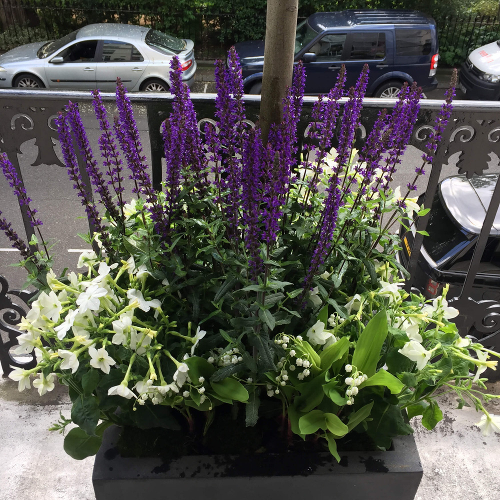 Planting_Seasons3