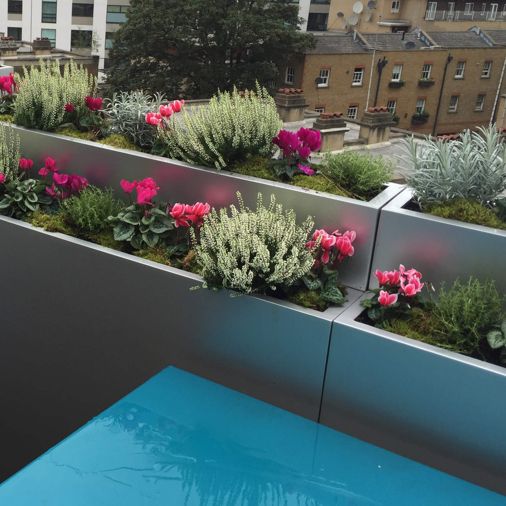 Terraces_NottingHill2