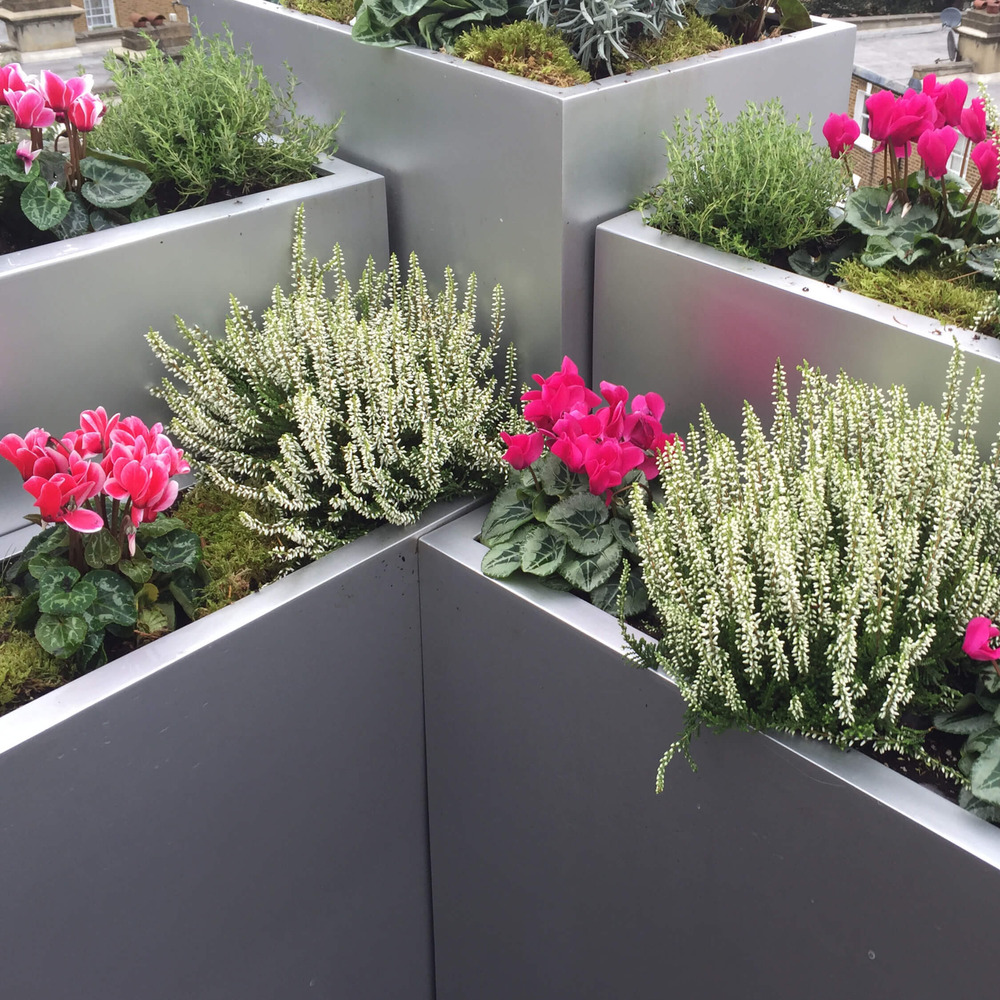 Terraces_NottingHill3