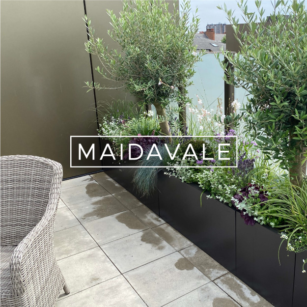 maidavale