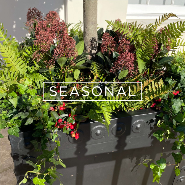 seasonal